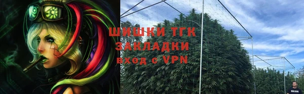 PSILOCYBIN Балахна